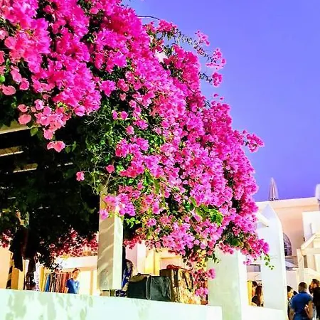Christina * Vari (Syros)